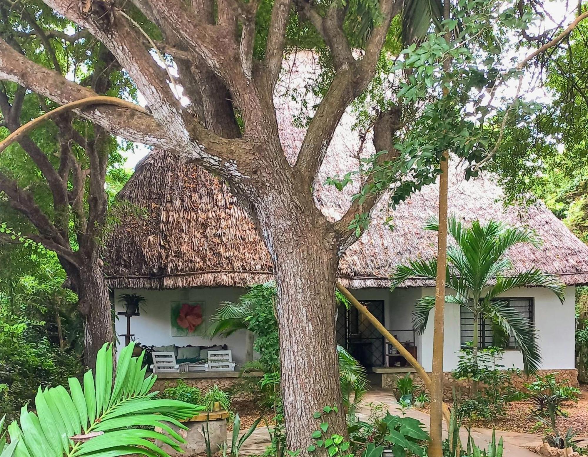 Watamu Beach Cottages Room photo